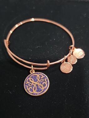 Alex and Ani Rose Gold Northern Lights Bracelet